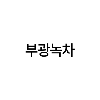 부광녹차