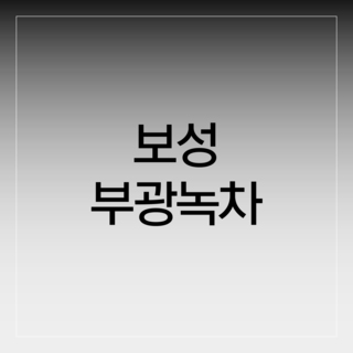 보성 부광녹차